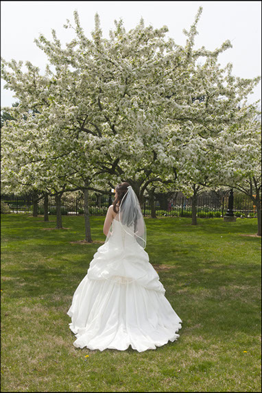 Bride at her wedding, Villanova, Pennsylvania, Wedding Photography, Linda Johnson Photography, Linda Johnson Photographs.