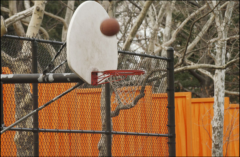 The Gates, Central Park, New York City, Christo and Jean-Claude, Installation art, Linda Johnson Photography, Linda Johnson Photographs.