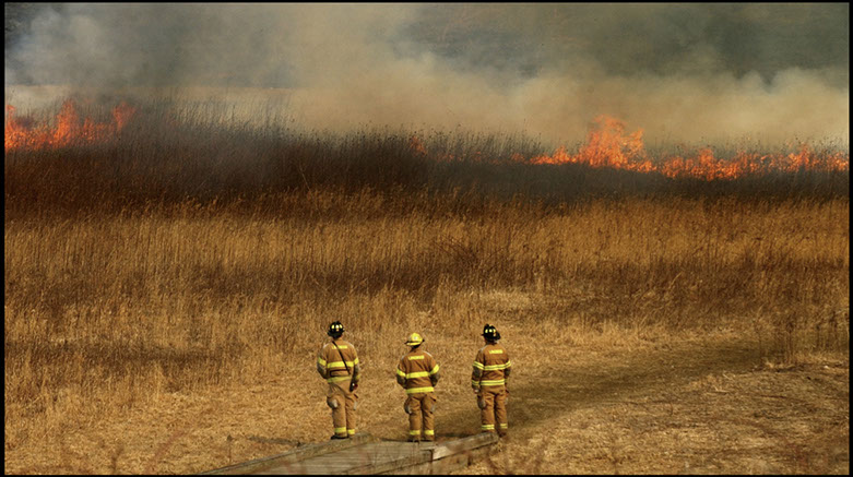 Firemen at a controlled fire, Longwood Gardens, Chester County, Pennsylvania, Linda Johnson Photography, Linda Johnson Photographs.