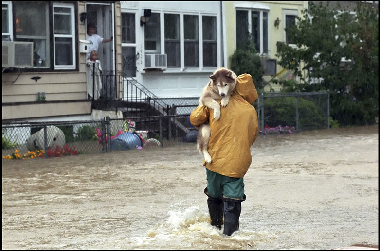 photo of man rescuing dog from flood in Darby Pennsylvania Linda Johnson Photography, Linda Johnson Photographs