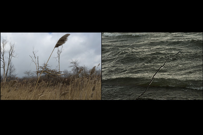 photo from Erie County Pennsylvania Linda Johnson Photography, Linda Johnson Photographs