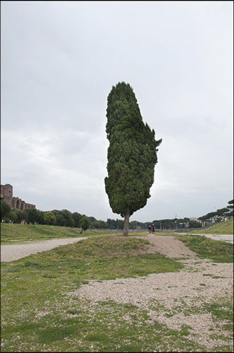 Circus Maximus, Rome, Italy. Linda Johnson Photography, Linda Johnson Photographs.