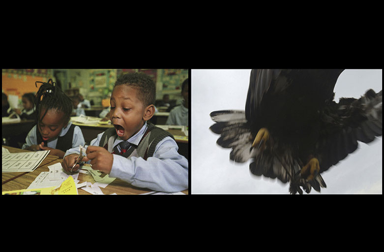 School Children, Philadelphia Pennsylvania, and bald eagle, Pennsylvania, Linda Johnson Photography, Linda Johnson Photographs.
